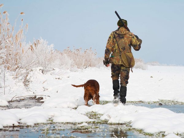 Собака застрелила охотника из ружья под Саратовом