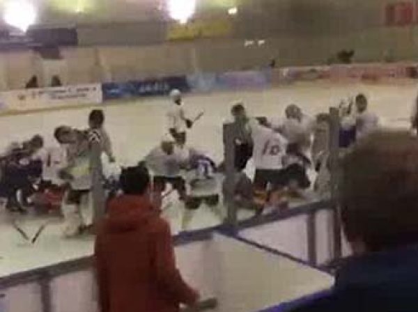 Дети устроили массовую драку на хоккейном матче во Владикавказе