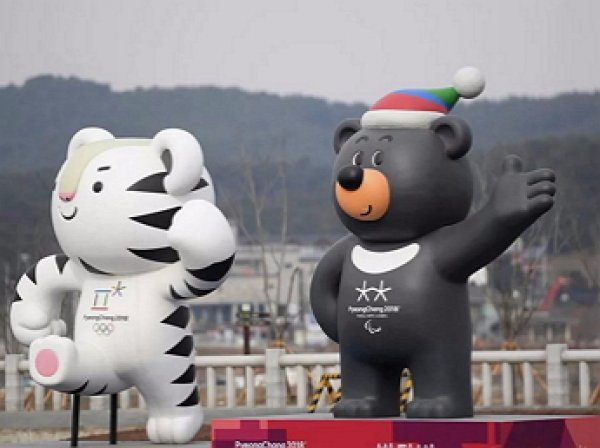 МОК отстранил 111 россиян от участия в Олимпиаде