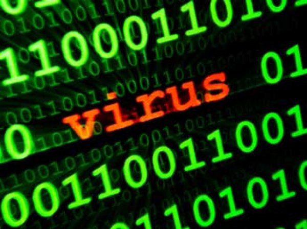 В России появился новый вирус, который крадет деньги через программу "1С"