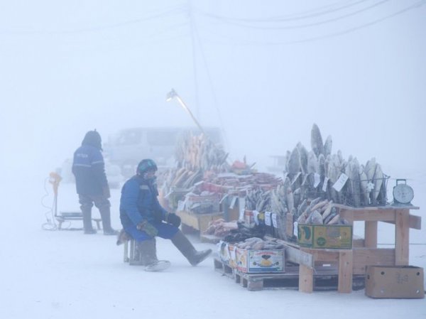 В Якутии похолодало до -65 градусов
