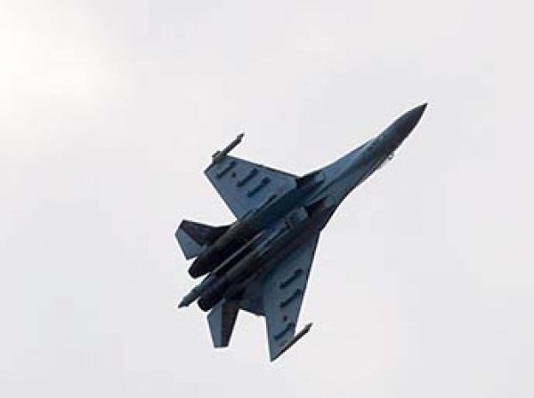 США опубликовали видео перехвата самолета-разведчика российским Су-27
