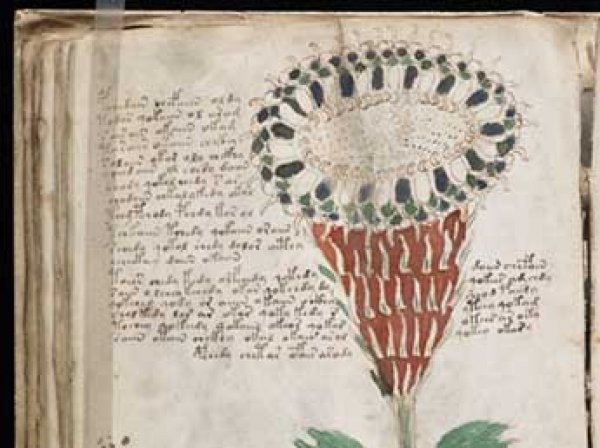 Искусственный интеллект расшифровал первую фразу самой загадочной рукописи XV века