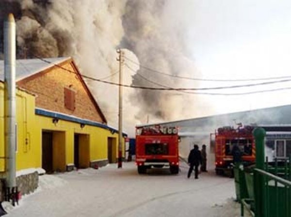10 иностранцев погибли  при пожаре на обувной фабрике под Новосибирском