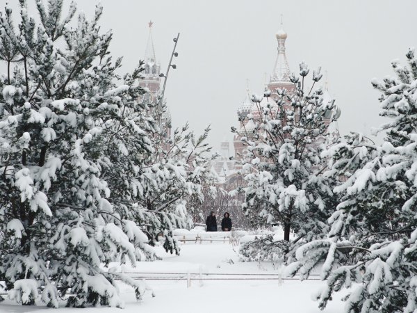 В Москве из-за мощного снегопада погиб человек