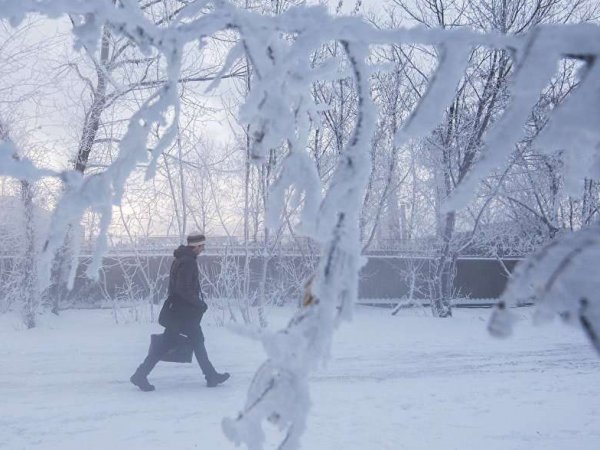 В Москве установлен температурный рекорд этой зимы