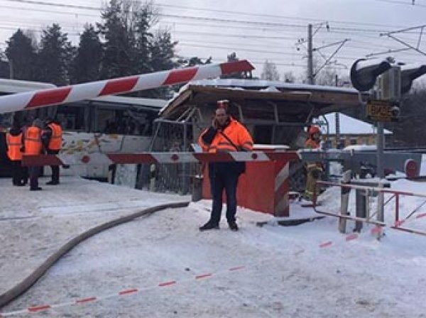Под Петербургом скоростной поезд "Ласточка" протаранил пассажирский автобус