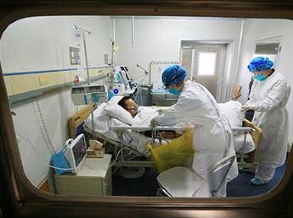 В Корее впервые в мире человек заразился новым штаммом птичьего гриппа