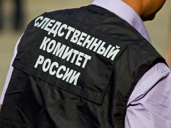 В Хабаровске нашли мешок с 26 парами отрубленных кистей