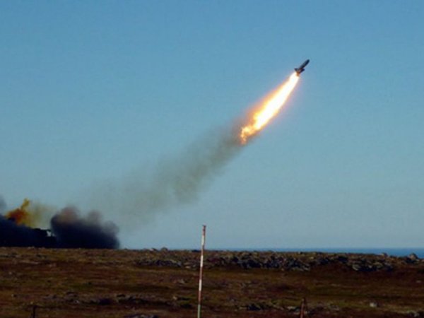 "Ватник", "Песец", "Нежданчик": Минобороны выбирает название для новой крылатой ракеты