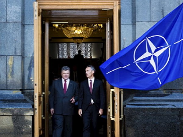 Украине предоставили статус «страны-аспиранта» в НАТО