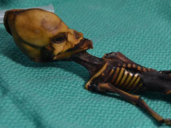 Ученые расшифрофали ДНК загадочной мумии "пришельца из Атакамы"