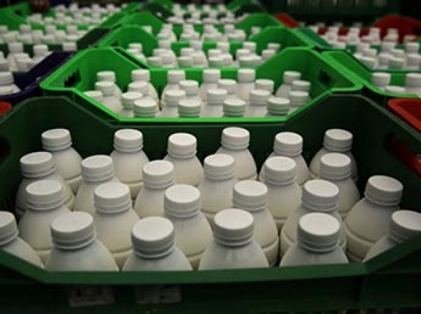 Россия отложила введение запрета на ввоз молока и молочных продуктов из Белоруссии