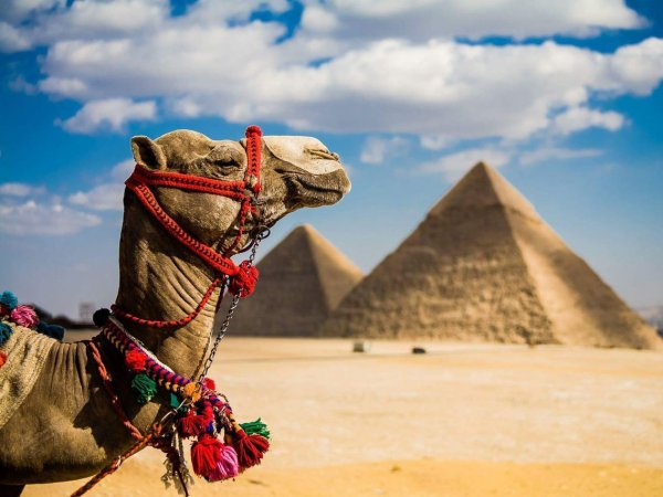 Российские туроператоры продали первые путевки в Египет