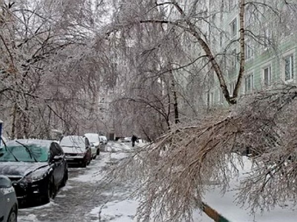 Синоптики: в Москву придут "январские морозы" и ледяные дожды
