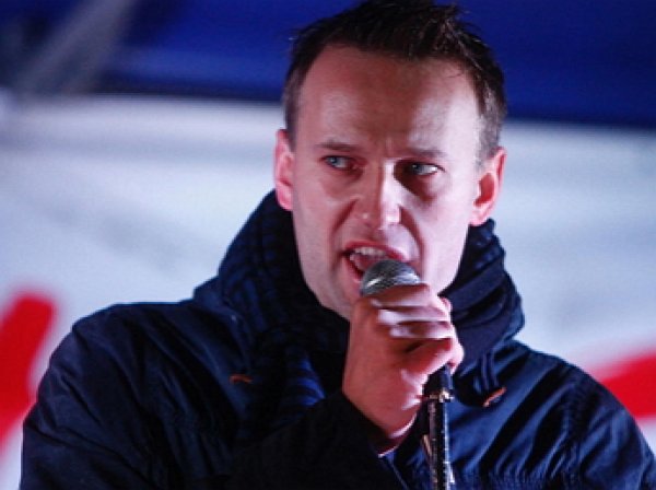Памфилова: Навальный сел в большую лужу