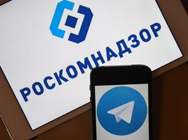 Потери российских компаний от попыток Роскомнадзора заблокировать Telegram оценили в  млрд