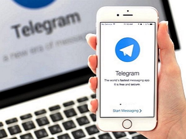 В ООН раскритиковали Россию за блокировку Telegram