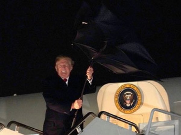 Сеть позабавило видео, как Трамп проиграл схватку с зонтиком