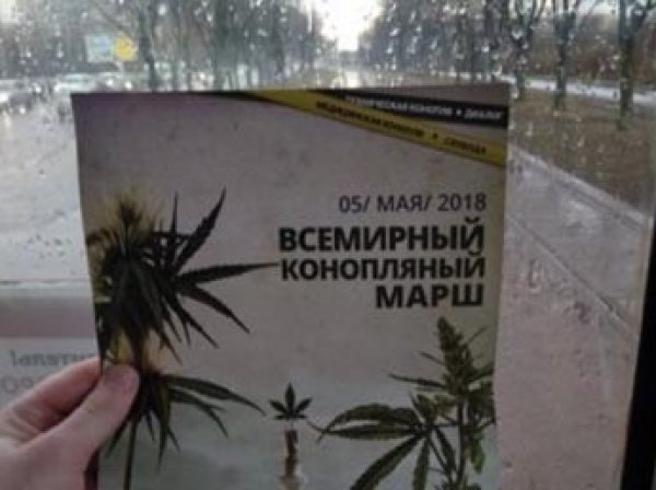В Петербурге запретили акцию Навального и впервые разрешили марш за легализацию конопли