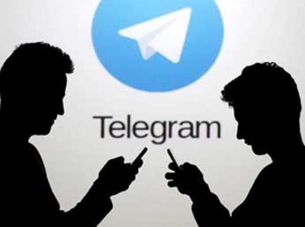Песков и Дворкович признались, что у них работает Telegram