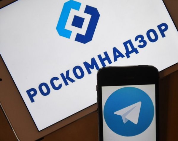 Интернет-омбудсмен признал невозможность блокировки Telegram