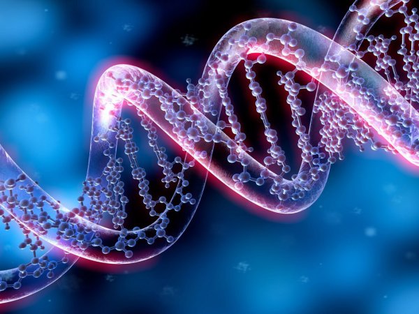 Ученые раскрыли секрет "темной материи" ДНК