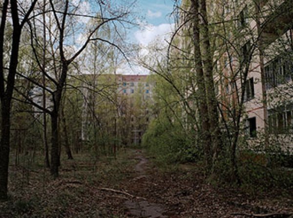 Эксперт объяснил, почему Чернобыль стал "раем на Земле"