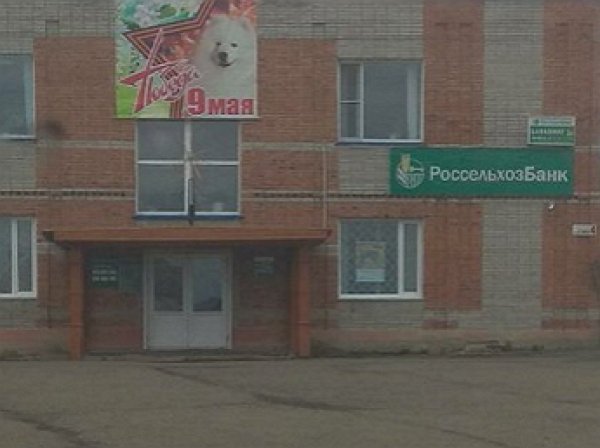 "Спасибо самоеду за победу!": сельский бизнесмен поздравил жителей Кузбасса с 9 мая фото своей собаки