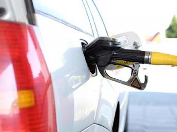 СМИ: правительство готово снизить акцизы после резкого роста цен на бензин