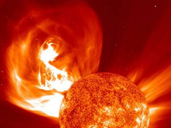 Ученые: катастрофа на Солнце убьет все живое на Земле