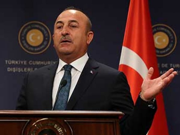 В Совфеде раскритиковали заявление МИД Турции об "аннексии Крыма"