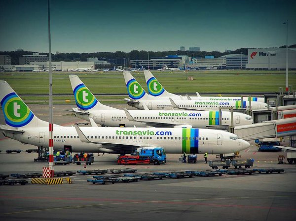 СМИ: в Португалии экстренно сел самолет из-за дурно пахнущего мужчины