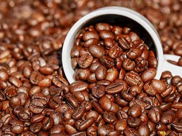 Военные медики создали алгоритм для расчета идеальной дозы кофе