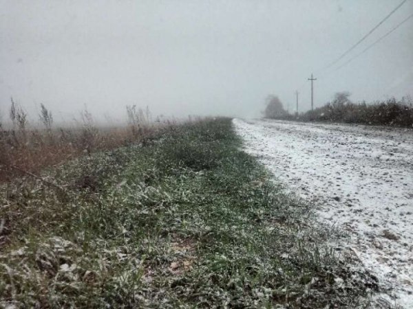 В первый день лета в Татарстане, Башкирии и на Урале выпал снег