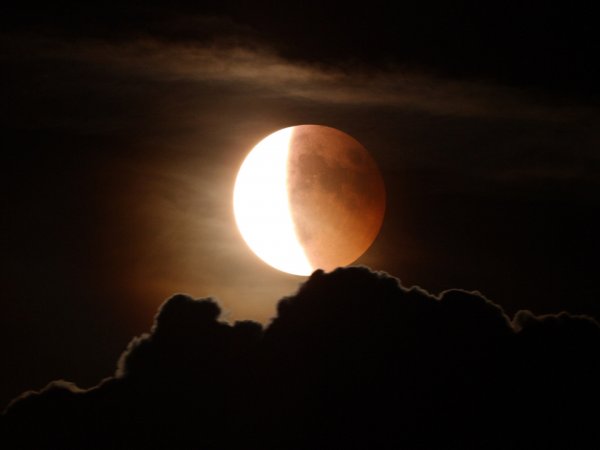 Лунное затмение 27 июля 2018: Павел Глоба прогнозирует сложный период для всех знаков зодиака