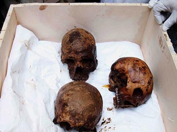 Ученые выяснили, кому принадлежат найденным в черном саркофаге в Александрии мумии