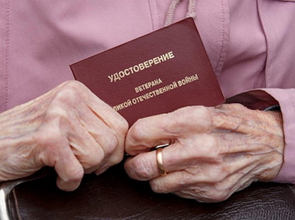 ЦИК рассмотрит вопрос о проведении референдума по пенсионной реформе