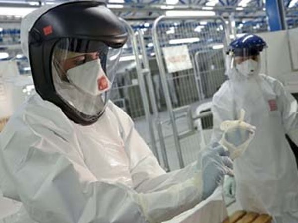 Во Франции человек впервые в мире заразился птичьим вирусом Усуту
