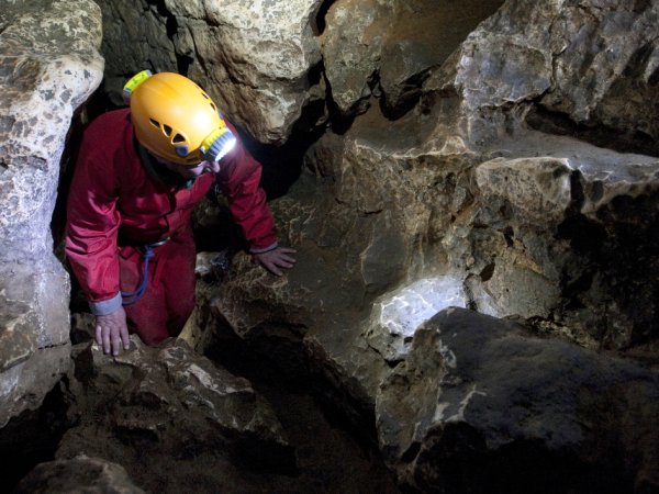 Из пещеры в Таиланде спасены 4 школьника. Маск тестирует подлодку для спасения остальных детей