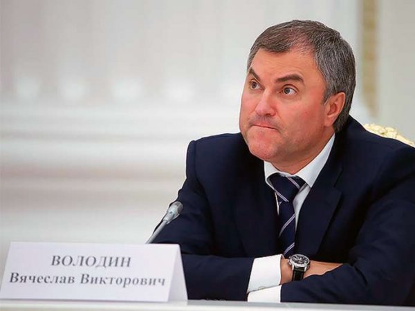 Эксперт объяснил слова Володина о возможной отмене государственных пенсий