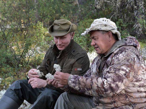 Видео отдыха Путина в Туве с Шойгу и Бортниковым появилось в Сети: соцсети не прошли мимо
