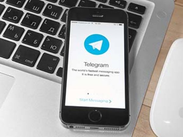 Telegram готов раскрыть IP-адреса террористов