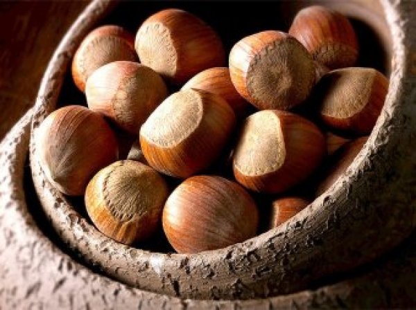 Ореховый Спас в 2018 году: какого числа, традиции и приметы, что можно есть, что нельзя делать