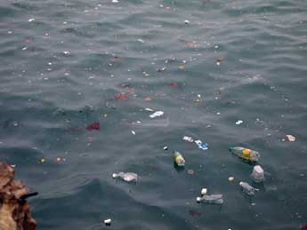 Ученые назвали самый опасный для мирового океана бытовой мусор