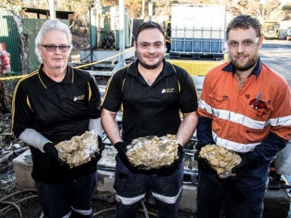В Австралии шахтеры, добывавшие никель, случайно раскопали 255 кг золота