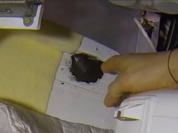 "Это позор": астронавт NASA прокомментировал "диверсию" на борту МКС