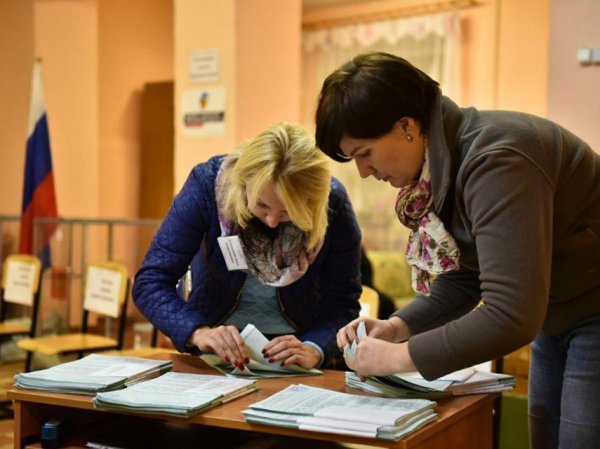 Второй тур выборов в Хабаровском крае и Владимирской области стал победным для кандидатов от ЛДПР: опубликованы результаты