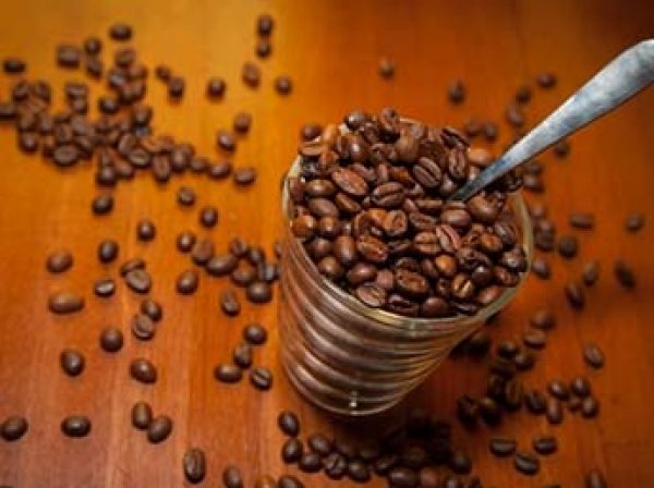 Ученые обнаружили неожиданную пользу какао и шоколада