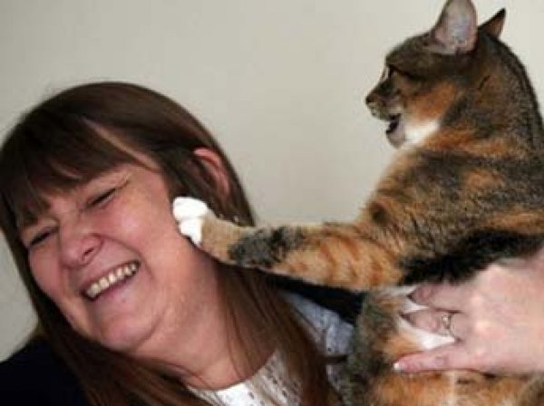 В Британии кошка дважды спасла свою хозяйку от рака
